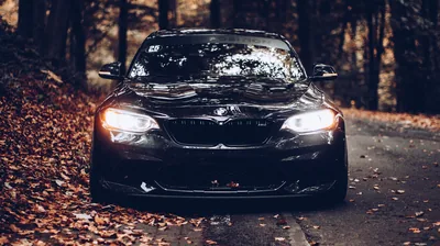 BMW Front End on a Forest Road HD Wallpaper