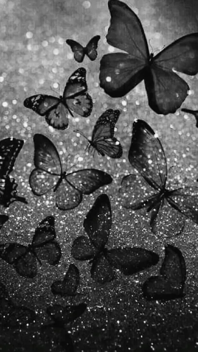 Black butterfly wallpaper iphone