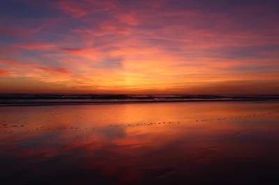 Pink Afterglow on a Wet Beach HD Wallpaper
