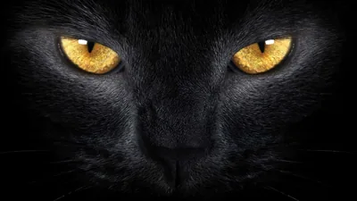 All Black 1080P Wallpaper