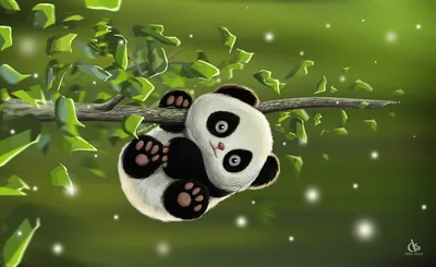 Cute Panda Hd Backgrounds