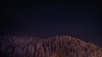 Stars Trees Night Dark Sky Wallpaper, HD Nature 4K Wallpapers, Images and Background