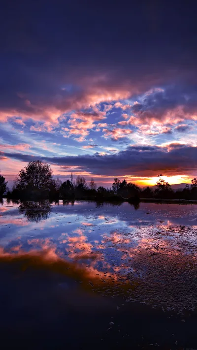 Sunset Clouds Mirrored in Still Water HD Phone Wallpaper