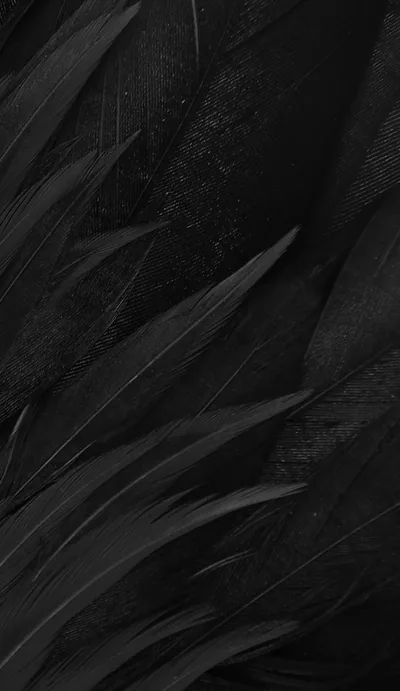 Matte Black iPhone Wallpapers Matte Black iPhone Backgrounds