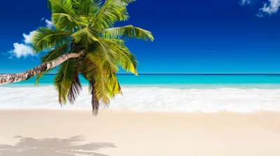 Beach Hd Wallpapers