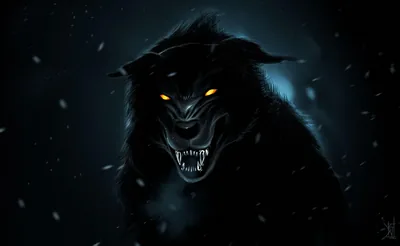Black Wolf HD Wallpapers
