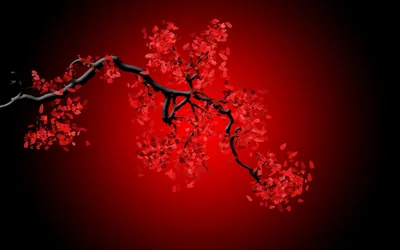 Red HD Wallpapers Red HD Backgrounds