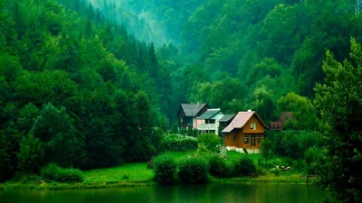 Green Desktop Wallpapers 4k, HD Backgrounds