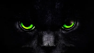 Cute Black Background