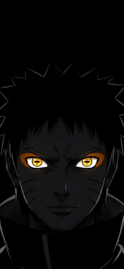 A face almost swallowed by black, only the amber slit eyes and faint whisker lines catching enough light to read.