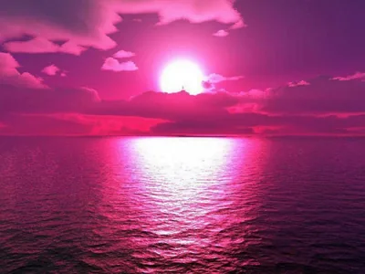 Hot Pink Aesthetic Wallpapers