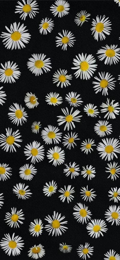 black and white floral textile iPhone Wallpapers