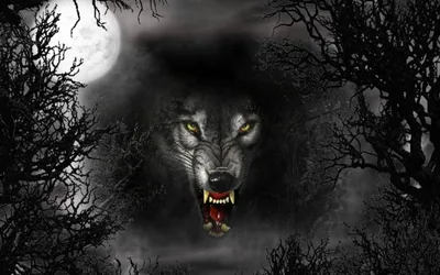 Black Cool Wolf Backgrounds