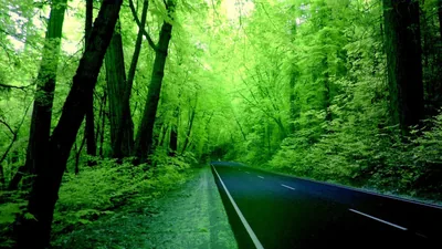 Green Nature Background