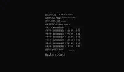 Black Hacker Wallpapers Black Hacker Backgrounds