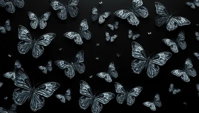 Cute Black Butterfly Wallpaper