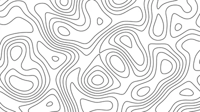 Fine Contour Map Lines on White HD Wallpaper