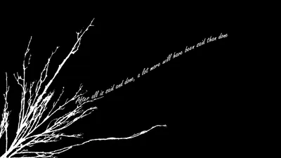 White Bare Branches with a Handwritten Line HD Wallpaper