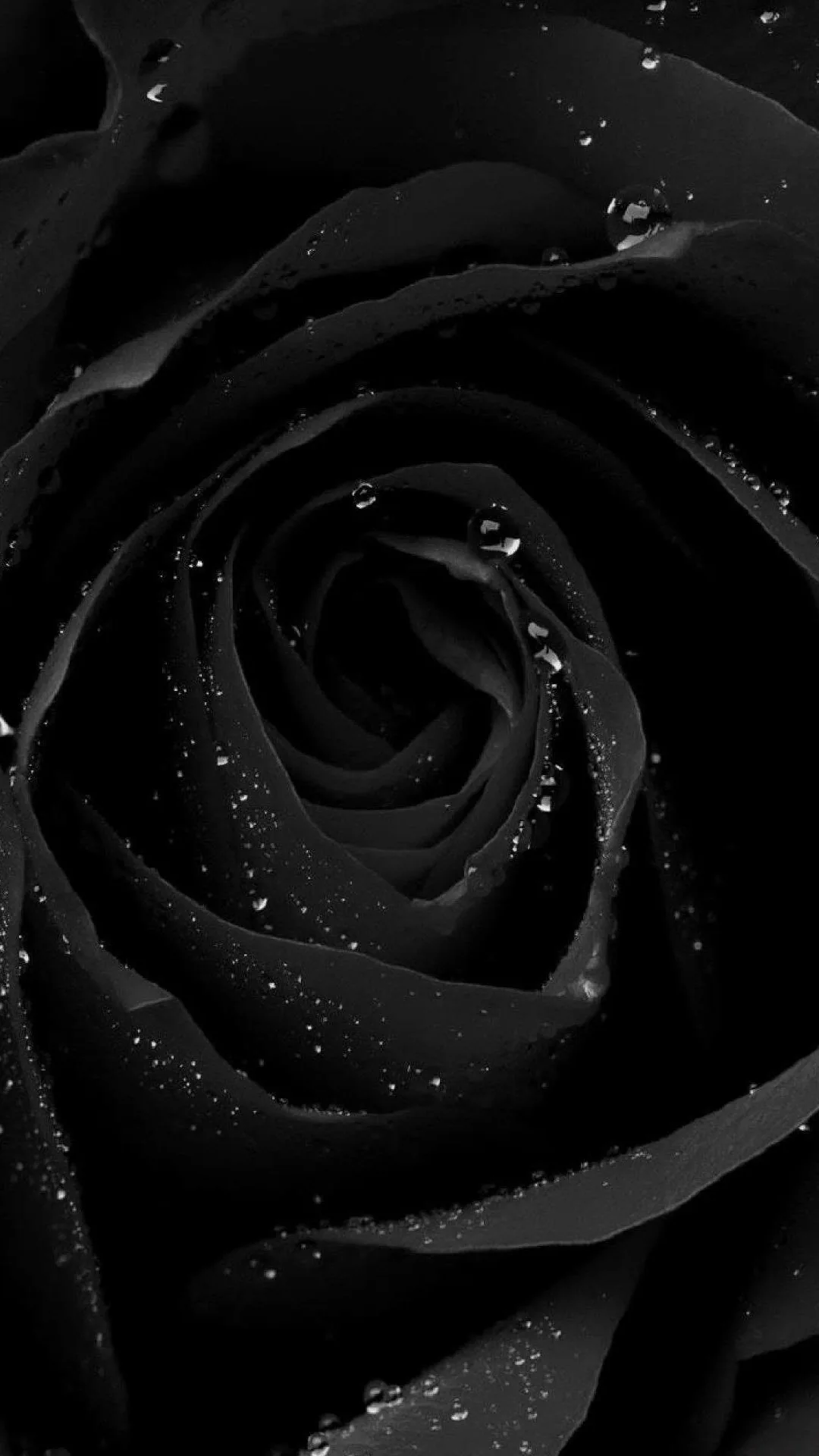 Black Wallpaper Black Amoled PC Wallpapers See