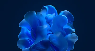 Check out this never released Windows 11 Bloom wallpaper