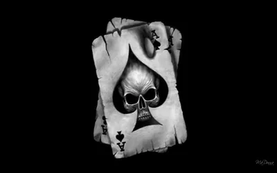 Skull on an Ace of Spades HD Wallpaper