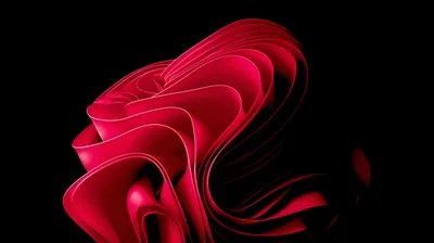 Windows 11 Red Ribbon Bloom HD Wallpaper