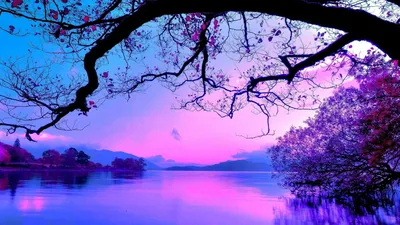 Purple Lake Under an Overhanging Branch HD Wallpaper