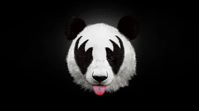Black Full Hd Panda Wallpaper Hd AESTHETIC CUTE WALL
