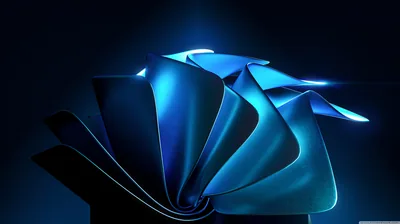 Bloom of Blue Ribbons on Dark Teal HD Wallpaper