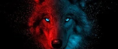 Wolf Wallpaper 4K, Scary, Dark background