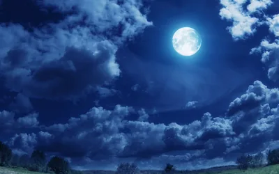 Moonlit Clouds over a Night Meadow HD Wallpaper