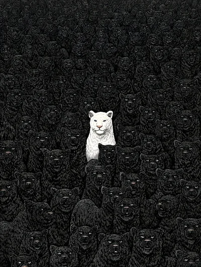 White Lion Among Black Lions HD Phone Wallpaper