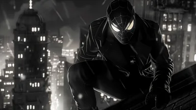 Spider Man Noir