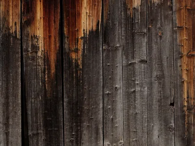 Black burnt wood Wallpaper