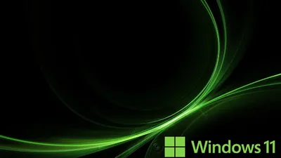Green Light Streaks with Windows 11 Logo HD Wallpaper