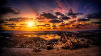 Driftwood on a Dark Beach at Sundown HD Wallpaper