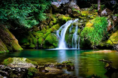 Mossy Waterfall Into an Emerald Pool HD Wallpaper