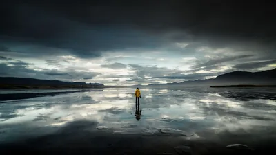 Yellow Jacket on a Mirror Shore HD Wallpaper