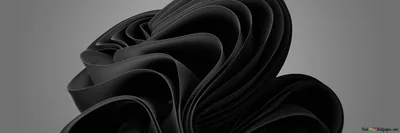 Black Windows 11 Background