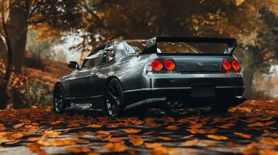 Skyline GT-R Parked in Autumn Leaves HD Wallpaper