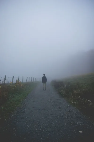 Gravel Path in Heavy Fog HD Phone Wallpaper