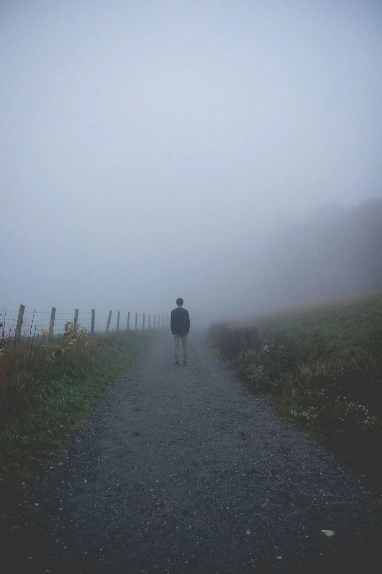 Fog erases the top two thirds of this portrait shot, leaving a lone walker mid-path with a fence line running up the left edge in muted green.