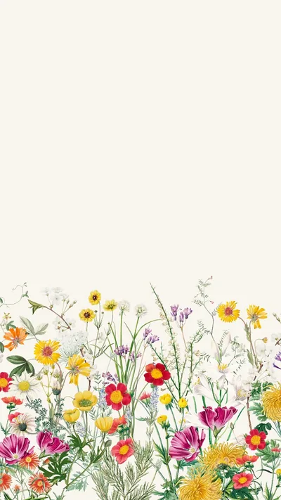 Spring Iphone Wallpaper Free Aesthetic HD & 4K Mobile Phone Images