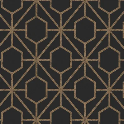 Rinku Black and Gold Wallpaper