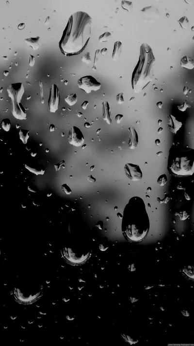 Black and White HD Wallpapers