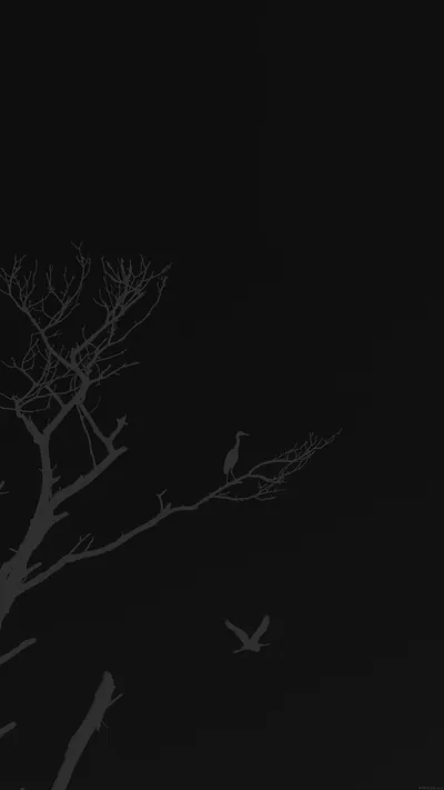 Bare Tree and Birds in Silhouette HD Phone Wallpaper