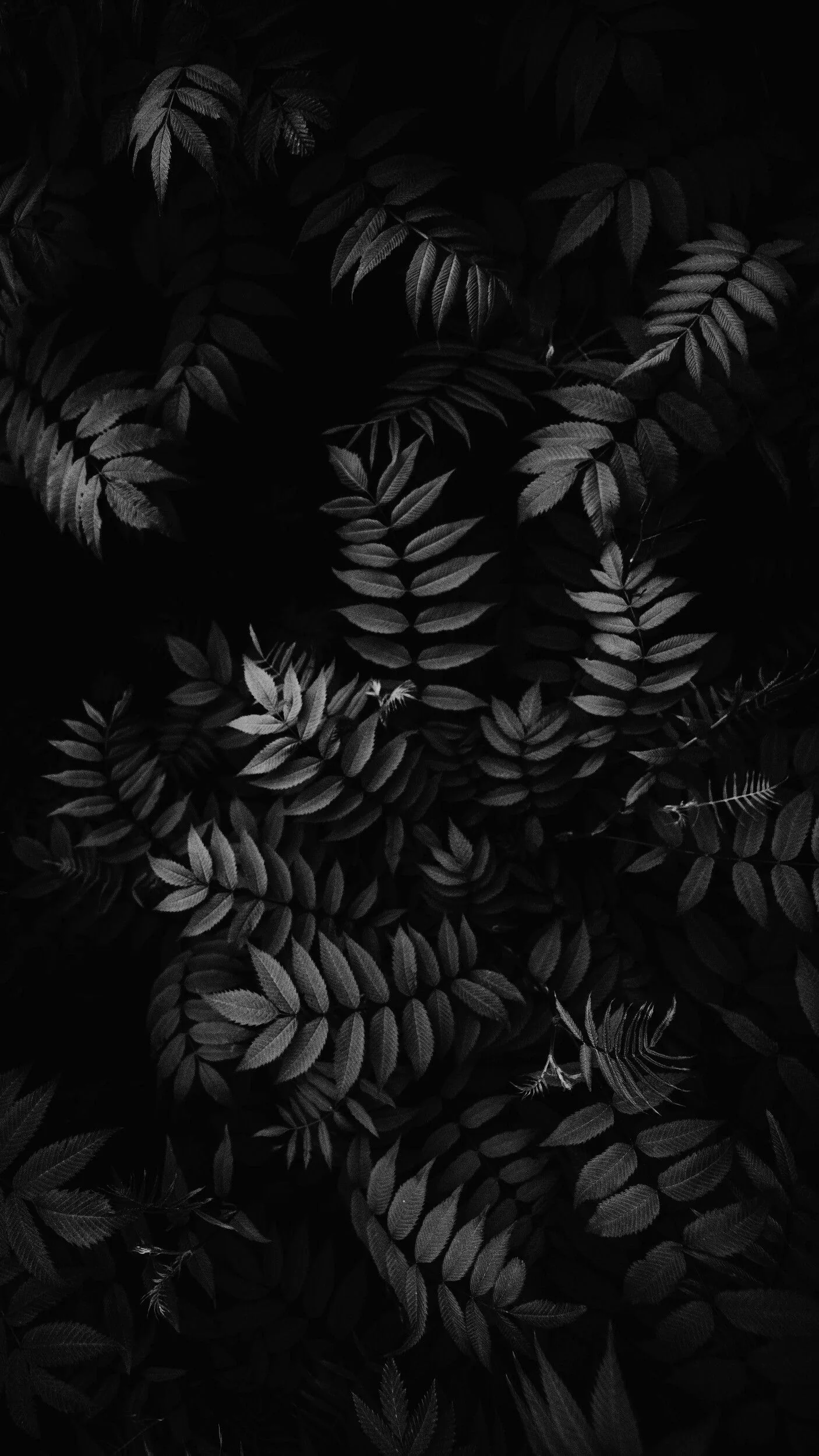 background aesthetic black tumblr