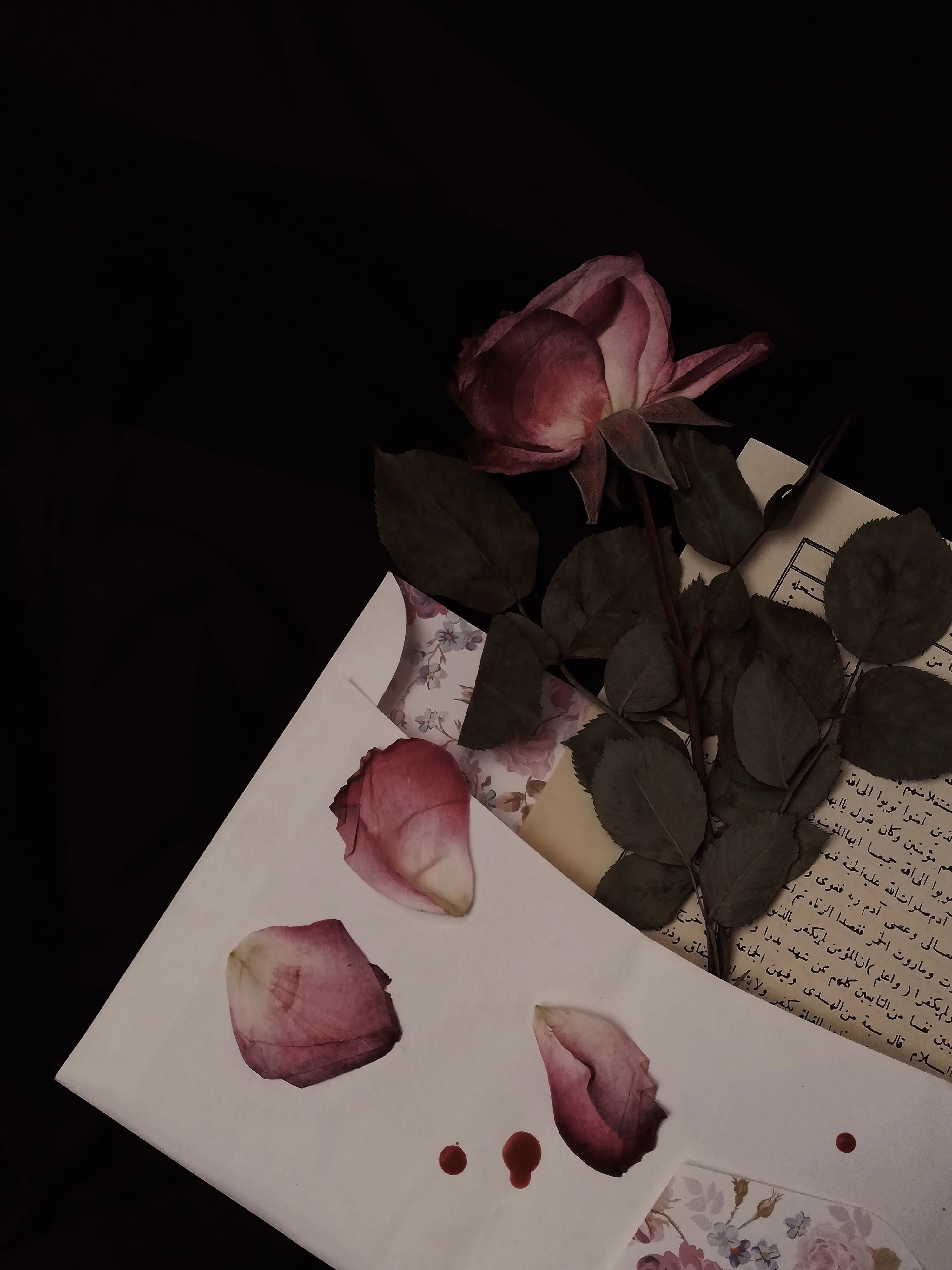 Rose and Paper Letter on Black Background Free Stock Photo