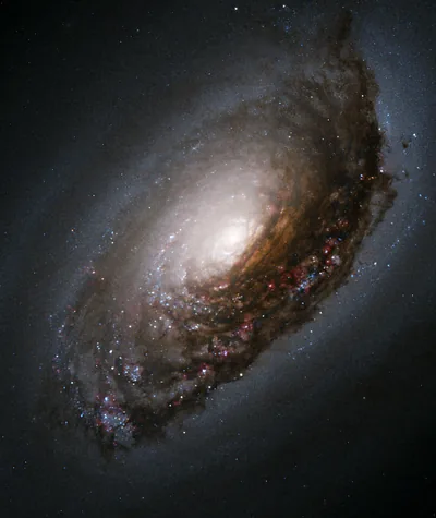 Galaxy With a Thick Dark Dust Lane HD Phone Wallpaper
