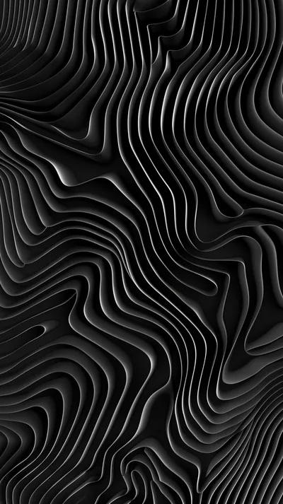Abstract Black Lines Wallpaper